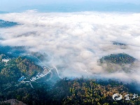 恍若仙境，宜都这个小山村美爆了！