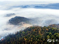 恍若仙境，宜都这个小山村美爆了！