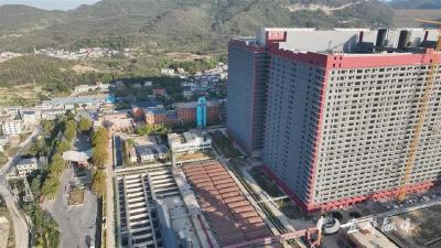 “一头猪”出圈成全国样本——鄂州“养猪天塔”点亮农业新质生产力“灯塔”