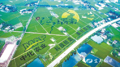 “绿”方法种出“金”果子——枝江市推进循环农业示范区建设