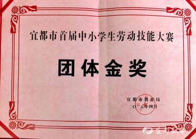 全市劳动技能大比拼，清江小学“摘金”出圈