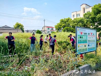 田间课堂：镰刀下的成长课