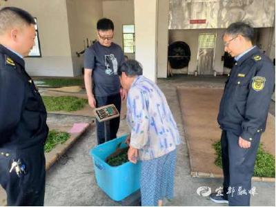 计量检查进茶厂，守护春茶“公平秤”