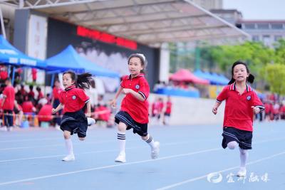 2300名师生燃动春日！陆逊中小学开启美育运动盛宴