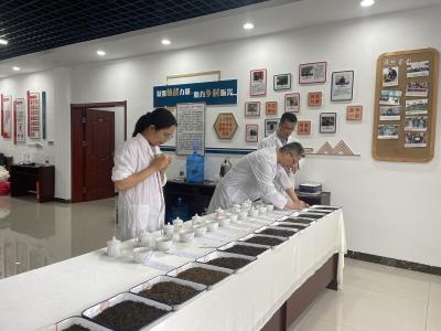 八维评分定高下！宜都名优茶“顶流”诞生