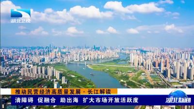 推动民营经济高质量发展·长江解读 | 清障碍 促融合 助出海 扩大市场开放活跃度