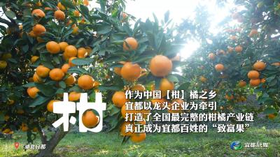 宜都的“野生”汉字，当然要有大美宜都的独特魅力