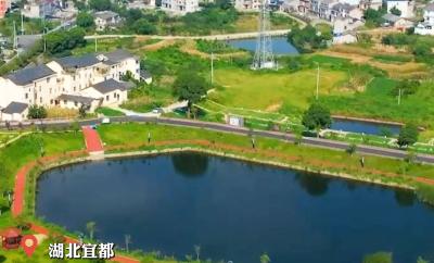 陆城街道尾笔村笔砚湾华丽蜕变，让“美丽村落”既有“面子”更有“里子”
