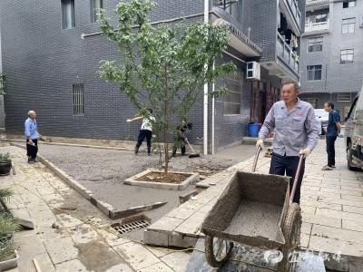 7天，“积水地”变“暖心角”！