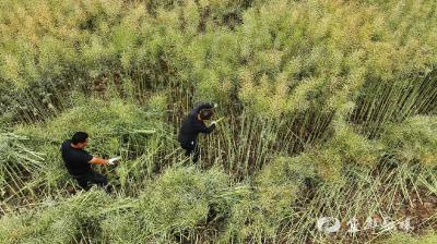 宜都这家企业把党课“种”进田间！