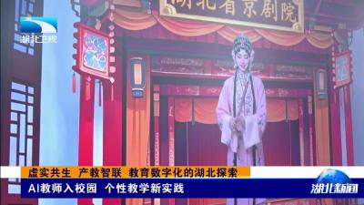 牢记嘱托 建成支点丨 虚实共生 产教智联 教育数字化的湖北探索