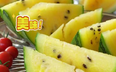 聂家河镇邓家桥村“空中西瓜”已成熟！ 网友： 一人能炫一整个