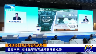 聚焦2025世界数字教育大会丨智启未来 湖北数智教育成果获外宾点赞