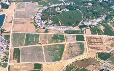 田成方 渠相通 路相连！聂家河镇4825亩高标准农田整治完成