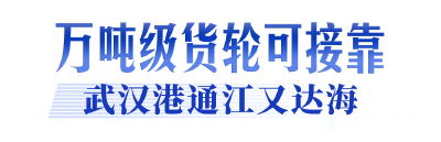 牢记嘱托 建成支点丨从通江达海到链接全球，武汉港九大港区激活“黄金水道”