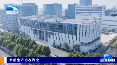 新质生产力在湖北 | 医工交叉融合推动医学创新