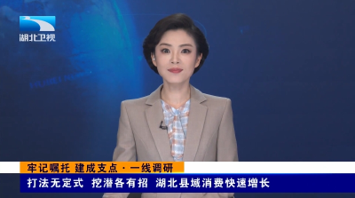 湖北卫视《湖北新闻》报道宜都：打法无定式 挖潜各有招 湖北县域消费快速增长