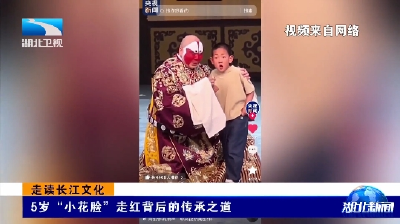 走读长江文化 | 5岁“小花脸”走红背后的传承之道