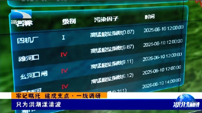 牢记嘱托 建成支点·一线调研 | 只为洪湖漾清波
