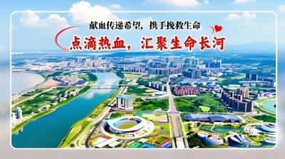 6月13日，人民广场等您来！