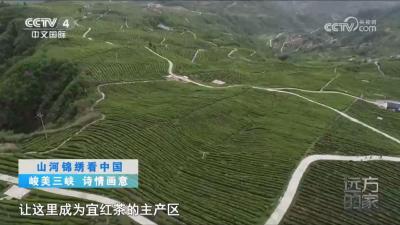 央视《远方的家》走进宜都：山河锦绣看中国——峻美三峡 诗情画意 三峡门城 茶乡宜都