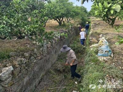 【荆楚网】宜都陈家岗村干群合力清淤保灌溉 5600亩柑桔解渴