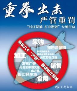 宜都市市场监督管理局关于长江禁渔相关事项的提示