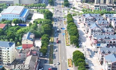 四车道变六车道！宜华大道道路拓宽改造工程启动