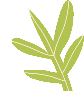 8月1日起！宜都老年人身份证刷卡乘车正式上线