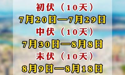 十年难遇！今年三伏只有30天