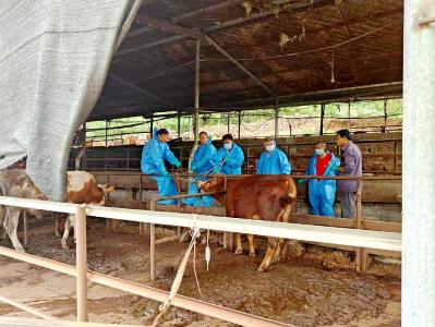 从“随机抽”到“精准派”：智慧平台为宜都牛羊防疫装上“大脑”