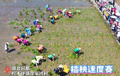 “下田”的快乐谁懂啊！松木坪镇举办第四届农事竞技暨农民歌手赛