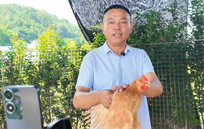 村书记直播助农带货忙！洋津畈村散养土鸡畅销“云端”
