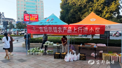 巧解瓜农燃眉急 “卖瓜小队”获锦旗