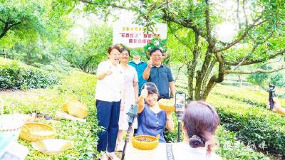 云端聚民心——直播培训引发宜都村干部能力“升维”