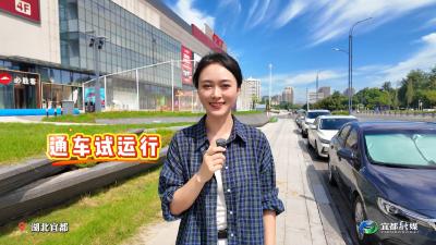 融媒主播带你沉浸式体验S254红花套镇绕镇公路