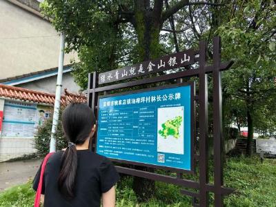 武汉大学实践队赴宜都调研：探寻长江流域生态保护治理县域样本
