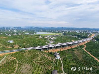 宜都：车轮与路标里，藏着怎样的“民生密码”？