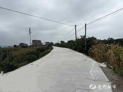坦途现 果农笑