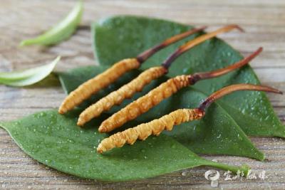 【湖北日报】年产2.4亿根！宜昌崛起全球最大工厂