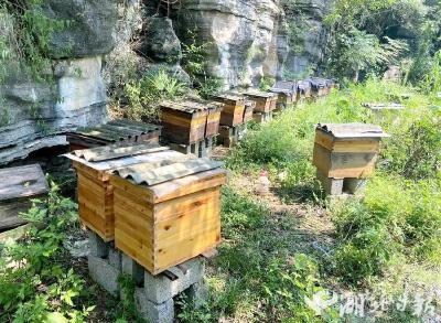 【荆楚网】2天售空268斤！宜都这场“蜜缘”甜到心坎