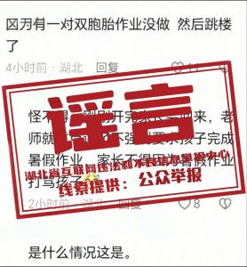 有双胞胎学生跳楼？江夏警方发布辟谣通报：杜撰者已被依法处理