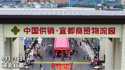 中国供销·宜都商贸物流园正式开园
