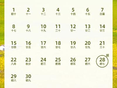 转发周知！本周上班时间有变！