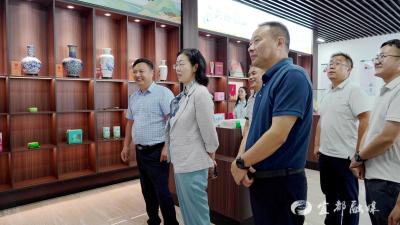 张金安来我市调研基层统战工作
