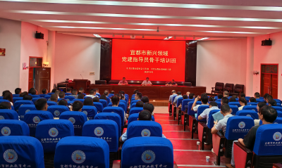宜都举办新兴领域党建指导员骨干培训班