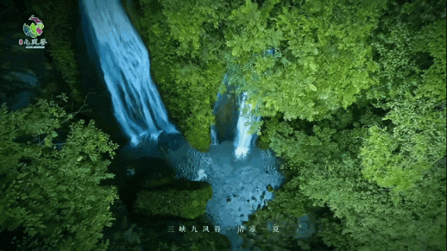 电影M榜、宜马、王源的票根，这样用最值！