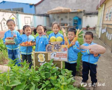 “小农夫”当家：蒸薯香里识霜降