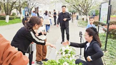 宜都：400亩牡丹如何“花开富贵”？