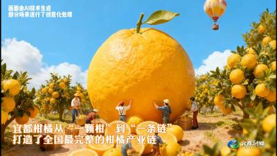 一颗柑橘被“吃干榨净” ！宜都打造全国最完整的柑橘产业链
